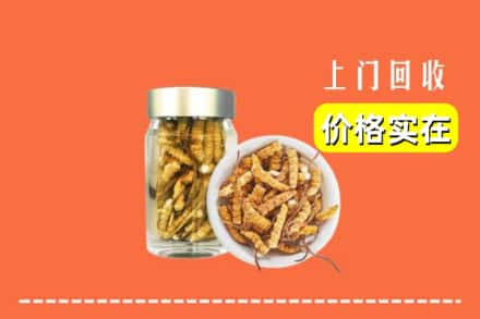 收购资讯:陆良县回收散虫草